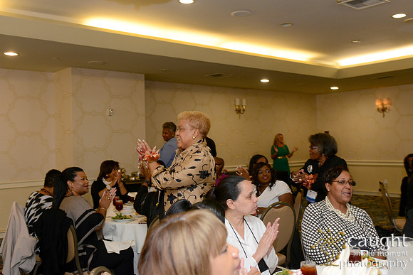 153 National Coalition of 100 Black Women Biennial Conference 2015