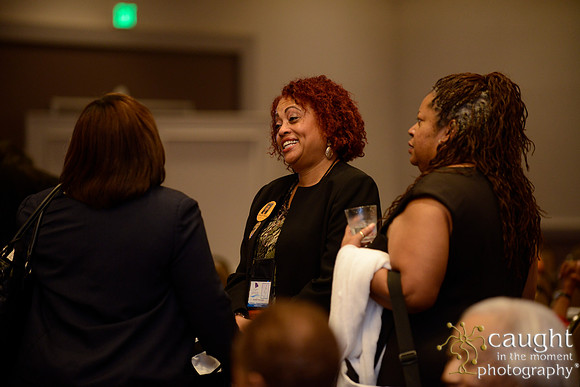 504 National Coalition of 100 Black Women Biennial Conference 2015