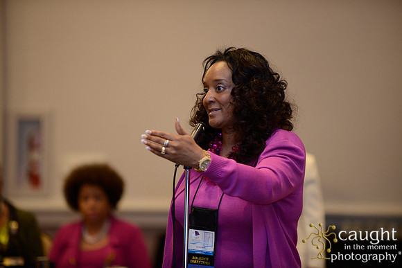 380 National Coalition of 100 Black Women Biennial Conference 2015