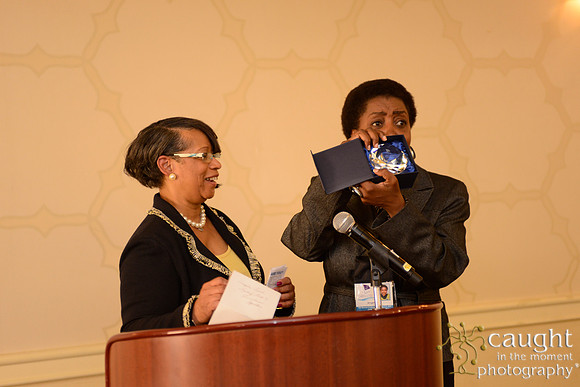 453 National Coalition of 100 Black Women Biennial Conference 2015