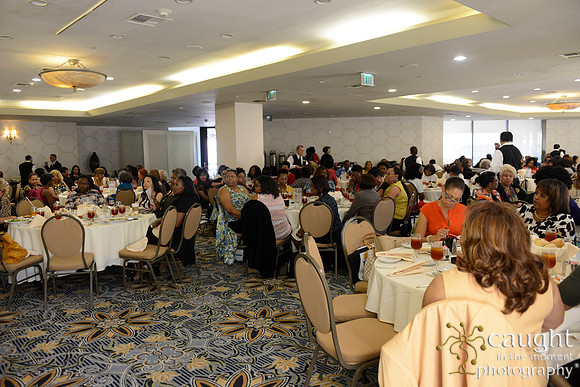 425 National Coalition of 100 Black Women Biennial Conference 2015