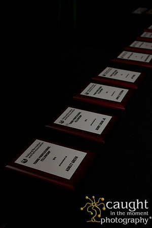 2991 NRPA 2015 Best of the Best Ceremony