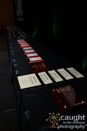 2993 NRPA 2015 Best of the Best Ceremony