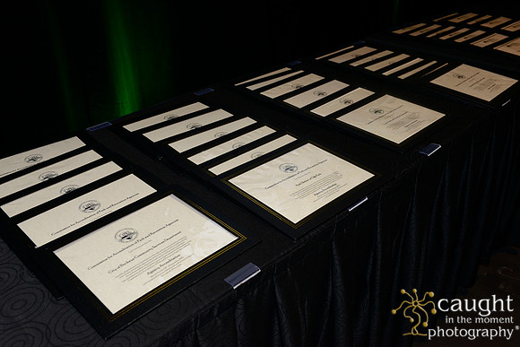 2989 NRPA 2015 Best of the Best Ceremony