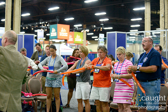 1592 NRPA 2015 Exhibit Hall