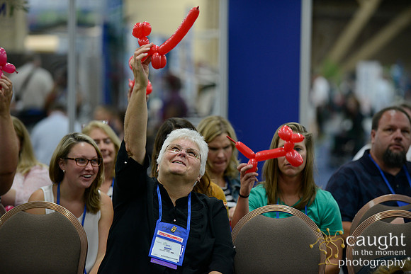 1597 NRPA 2015 Exhibit Hall