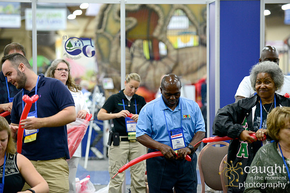 1593 NRPA 2015 Exhibit Hall