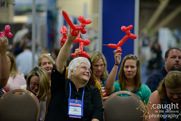 1598 NRPA 2015 Exhibit Hall