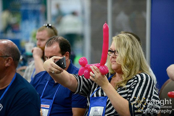 1581 NRPA 2015 Exhibit Hall