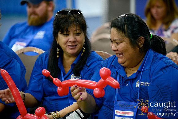 1578 NRPA 2015 Exhibit Hall
