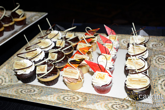 2377 NRPA 2015 50th Anniversary Party