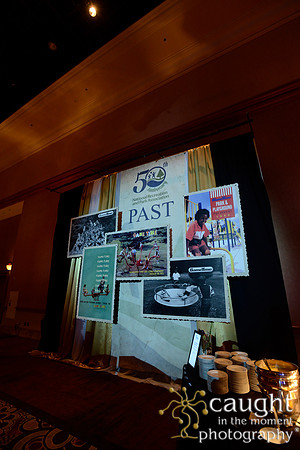 2366 NRPA 2015 50th Anniversary Party