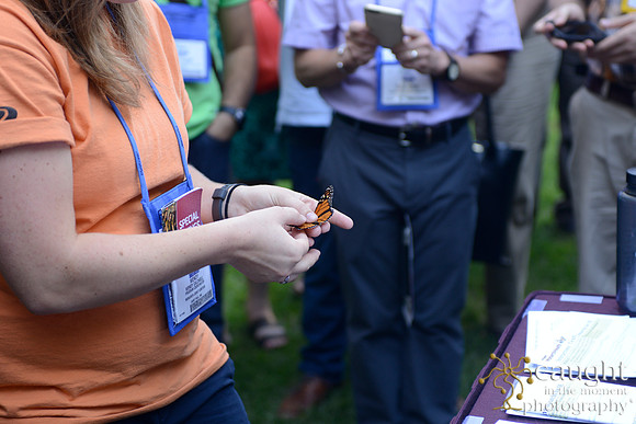 2340 NRPA 2015 Butterfly Release