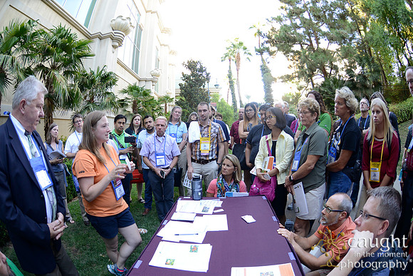 2333 NRPA 2015 Butterfly Release