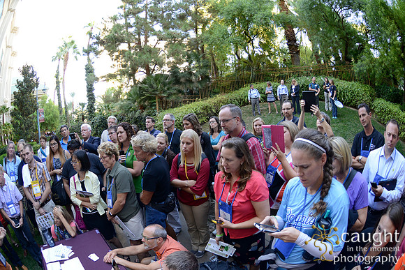 2349 NRPA 2015 Butterfly Release