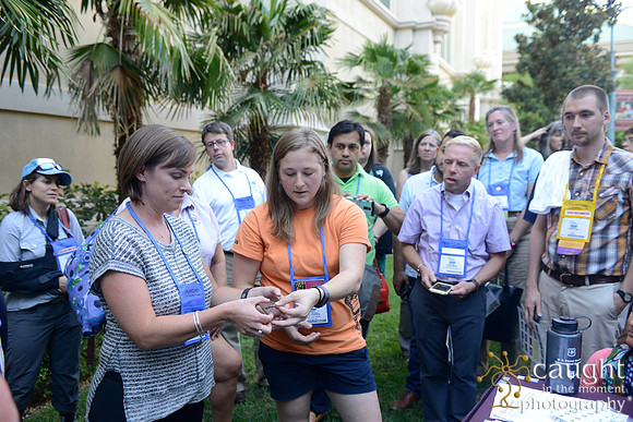 2350 NRPA 2015 Butterfly Release