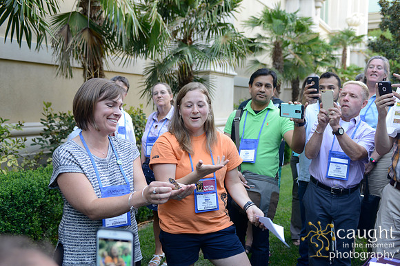 2356 NRPA 2015 Butterfly Release
