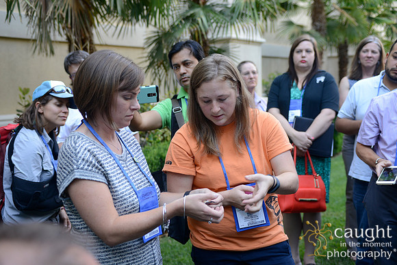 2355 NRPA 2015 Butterfly Release