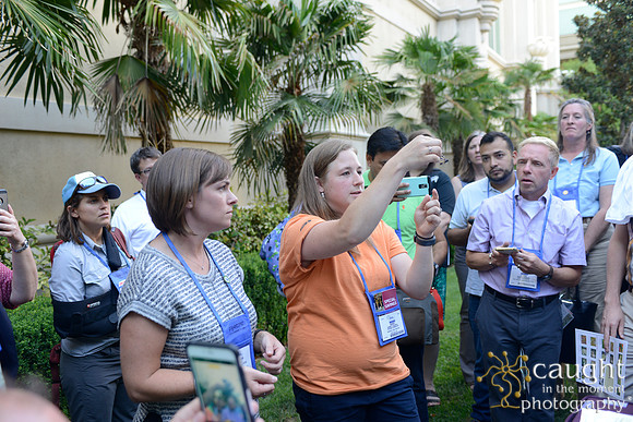 2351 NRPA 2015 Butterfly Release