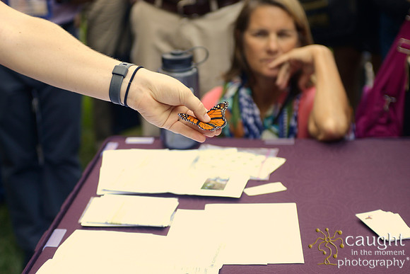 2343 NRPA 2015 Butterfly Release