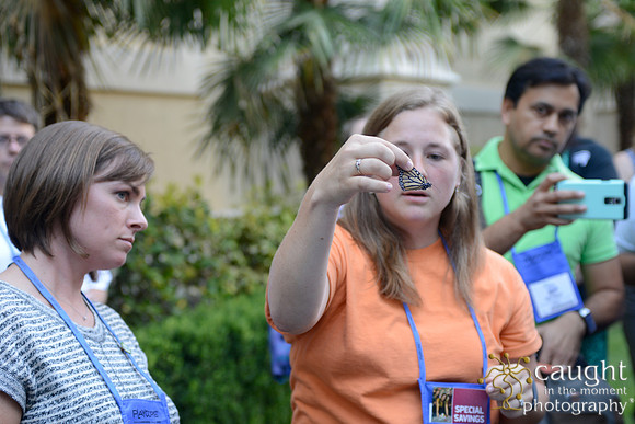 2353 NRPA 2015 Butterfly Release