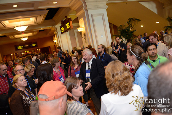 2325 NRPA 2015 Butterfly Release