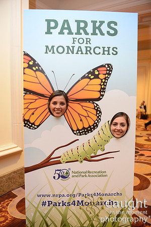 2323 NRPA 2015 Butterfly Release