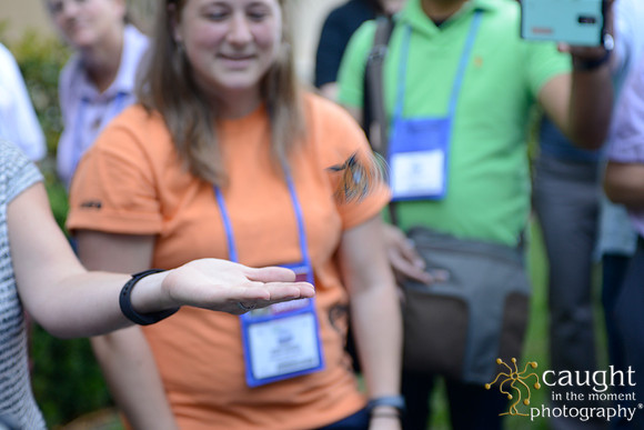 2359 NRPA 2015 Butterfly Release
