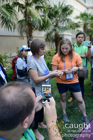 2354 NRPA 2015 Butterfly Release