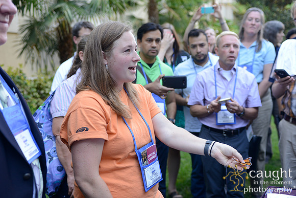 2342 NRPA 2015 Butterfly Release