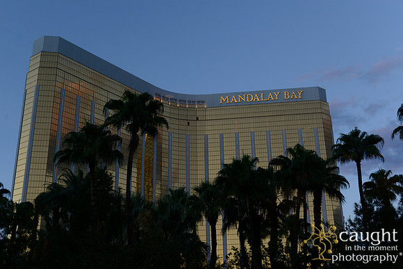 3213 NRPA 2015 Las Vegas Scenery