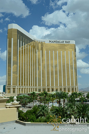 3208 NRPA 2015 Las Vegas Scenery