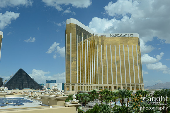 3207 NRPA 2015 Las Vegas Scenery
