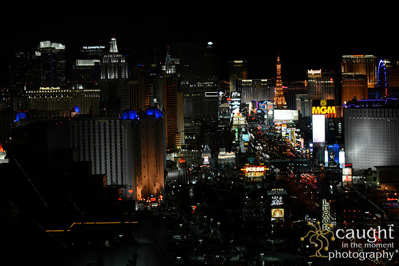 3220 NRPA 2015 Las Vegas Scenery