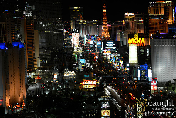 3219 NRPA 2015 Las Vegas Scenery
