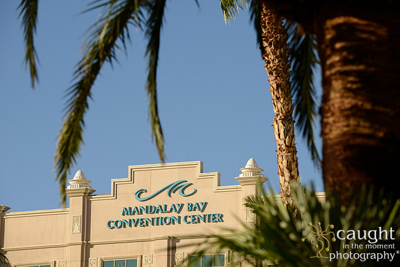 3210 NRPA 2015 Las Vegas Scenery