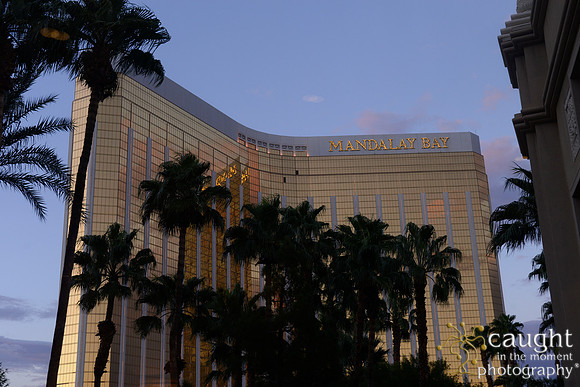 3212 NRPA 2015 Las Vegas Scenery