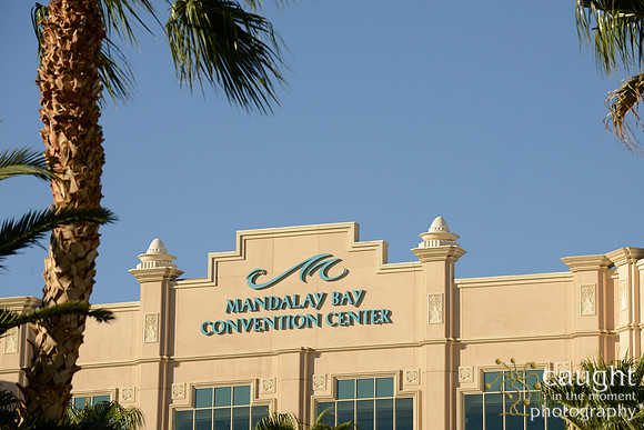 3211 NRPA 2015 Las Vegas Scenery