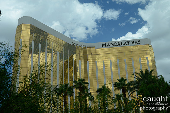3209 NRPA 2015 Las Vegas Scenery