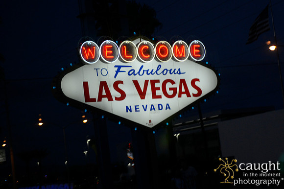 3215 NRPA 2015 Las Vegas Scenery