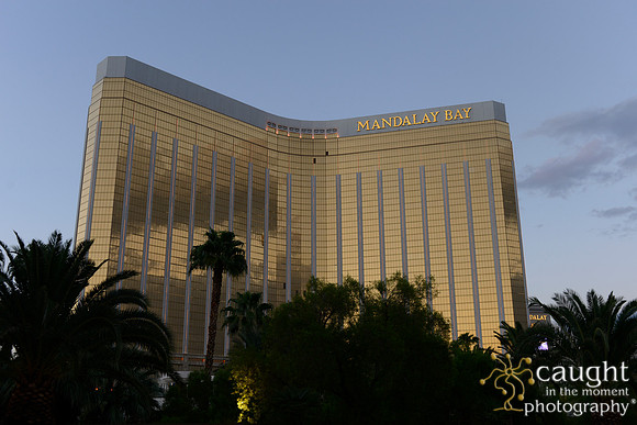 3214 NRPA 2015 Las Vegas Scenery