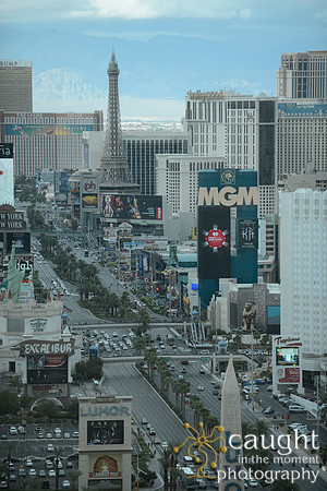3218 NRPA 2015 Las Vegas Scenery
