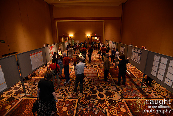 3150 NRPA 2015 Poster Session