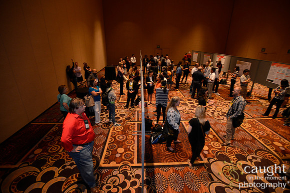 3161 NRPA 2015 Poster Session