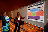 3125 NRPA 2015 Poster Session
