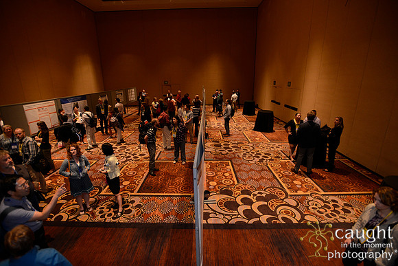 3152 NRPA 2015 Poster Session