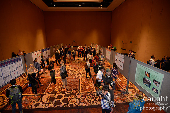 3153 NRPA 2015 Poster Session