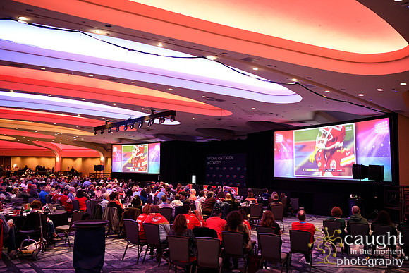 085 NACo Legislative Conference 2024-Superbowl