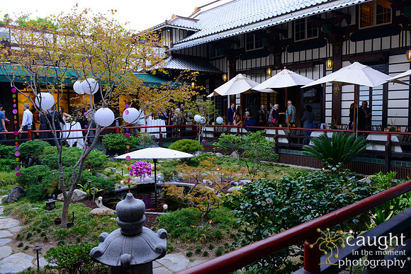 49 Birthday Celebration at Yamashiro Hollywood