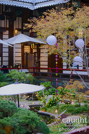54 Birthday Celebration at Yamashiro Hollywood